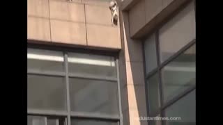پرش دراماتیک گربه از طبقه دوم ساختمان در چین