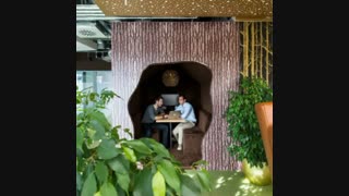 محل کار کارمندان شرکت گوگل <ارزش دیدنو داره> توضیهات فراموش نشه ها:)