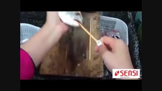 فیلم آموزشی تخلیه کردن محتویات شکم ماهی با استفاده از دو سیخ چوبی