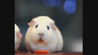 واکنش دیگران به موفقیت آدم های با انگیزه و موفق!