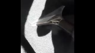 صفر شویی ماشین | دستگاه دیتیلینگ خودرو | شستشوی اتومبیل