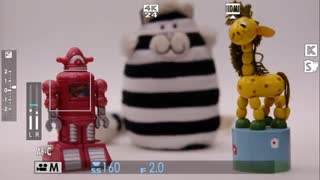 Fujifilm X-T2 video Focus in video