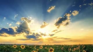 باغ : شاعر حسن اسدی ،شبدیز "آوای دکلمه لیلا موسوی