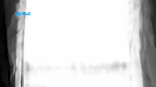 حامد حامی  hamed hami