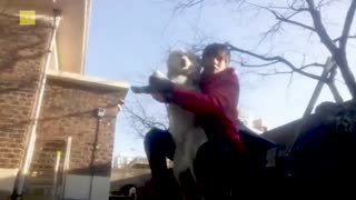 فانی و کیوت مومنت از کیم تهیونگ