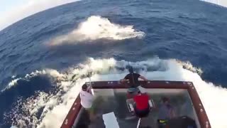 صید ماهی مارلین.ایران فیشینگ