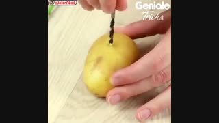 آموزش کاشت (ازدیاد) گل رز