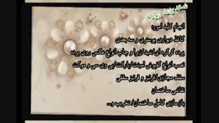 شهر کاغذ دیواری