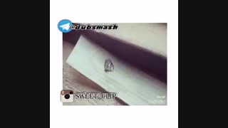 اقا لازم نیس مورچه ها رو بکشید