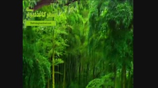 شهر کاغذ دیواری     پوستر    سه بعدی