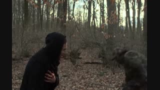 سریال پانیشر قسمت پنجم با زیرنویس پارسی The Punisher