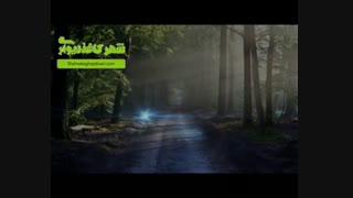 شهر کاغذ دیواری  پوستر  کفپوش پرده