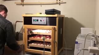 نطفه سنجی تخم نطفه دار