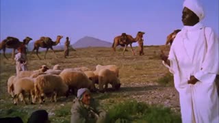 ?What is Islam