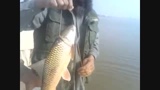 بهترین روش صید کپور بزرگ