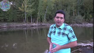 چگونه با نوشتن انشا، خلاقیت و درآمد خود را افزایش دهیم؟