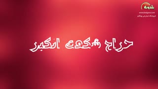 یلدونه (شب یلدا ) فروشگاه اینترنتی بولگانو