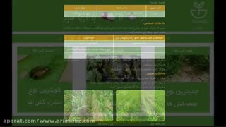 علف کش کروز (نیکوسولفورون) 4% سوسپانسیون – Cruz (Nicosulfuron) 4% SC