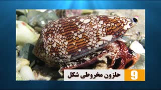 اگر یکی از این موجودات را دیدید سریعا فرار کرده و کمک خبر کنید