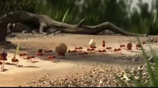 نتایج کار گروهی