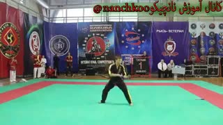 مسابقات جهانی نانچیکو  خیلی عالی