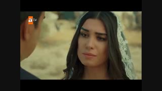 ویدیو زیبایی از سریال عشق و ماوی