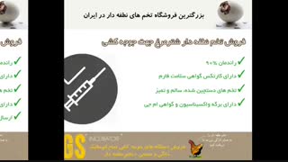 تخم شترمرغ نطفه دار با کیفیت را از ما بخواهید