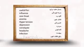 شربت عسل لیمو ترش ( روزی پاک )