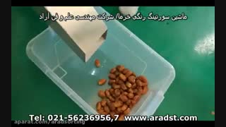 سورتینگ خرما