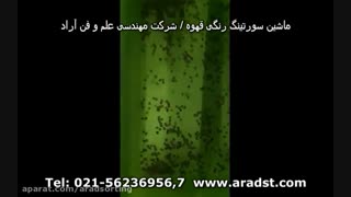 سورتینگ قهوه