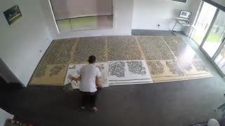 پازل 33،600  قطعه ای