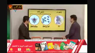 نمونه تدریس زیست کنکورموسسه حرف آخر مبحث زنبور