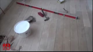 آموزش لمینت کاری به صورت تضمینی در www.118file.com