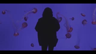 Martin Garrix – Scared to Be Lonely