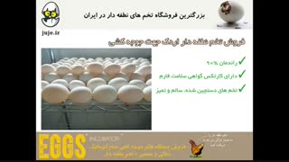 تخم نطفه دار اردک ، بدون بیماری، بدون لک و شکستگی