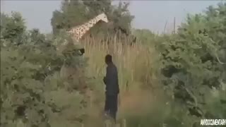 فیلم مستند کامل سفر به افریقا با مستند حیات وحش زافه ها و میمونها و انواع حیات وحش افریقا  FULLHD