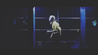 FMV آهنگ reflection  از RM