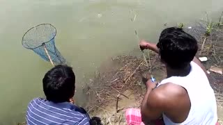 آموزش ماهیگیری برای مبتدیان