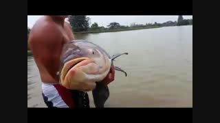 ماهیگیری با قلاب