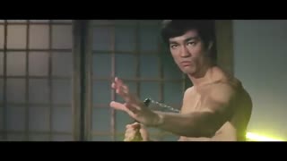 اگر بروسلی توی جنگ ستارگان بود