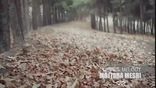 تیزر ویدیوئی آهنگ رامین بی باک به نام نیستی