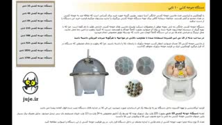 بهترین دستگاه جوجه کشی همراه با تخم نطفه دار مرغ و ...در تهران