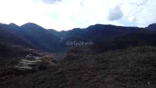 طبیعت زیبای جنگلهای گلستان به روایت تصویر