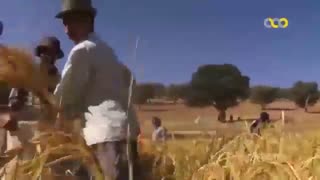 مستند فرهنگ و طبیعت ایران- کهبنگ -3