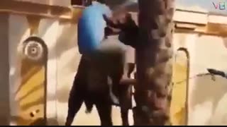 آدرنالین بالا