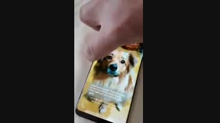 مشکل عمده صفحه نمایش گلکسی اس 8 سامسونگ