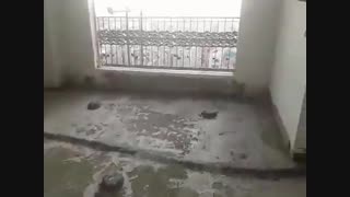 فوم بتن در ارتفاع ۴۰ متری.  ۰۹۱۲۶۱۱۴۱۳۸