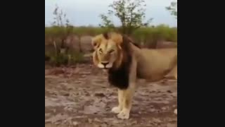 تورهای نوروزی 97 سفر نامه ویدیو سوم