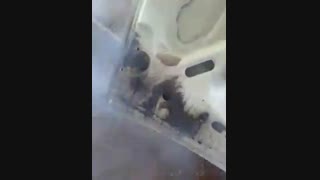 قدرت پاک کنندگی کارواش بخار | کارواش نانو بخار