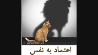 اهمیت اعتماد به نفس وعزت نفس در زندگی Lili Bakhtiari -EFT